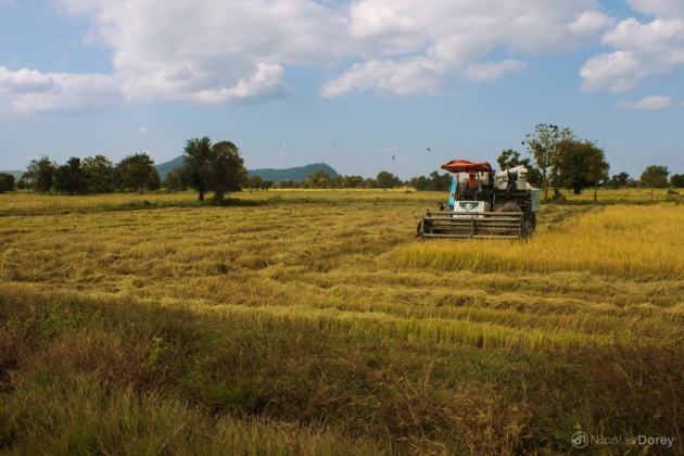 nicolas_dorey_cambodia_battambang_farmer