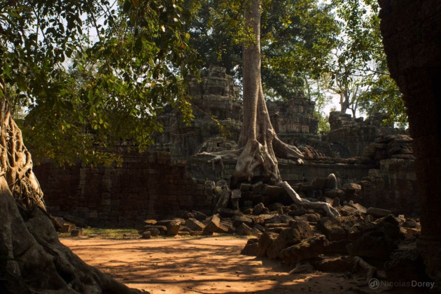 nicolas_dorey_cambodia_ta_prohm_01