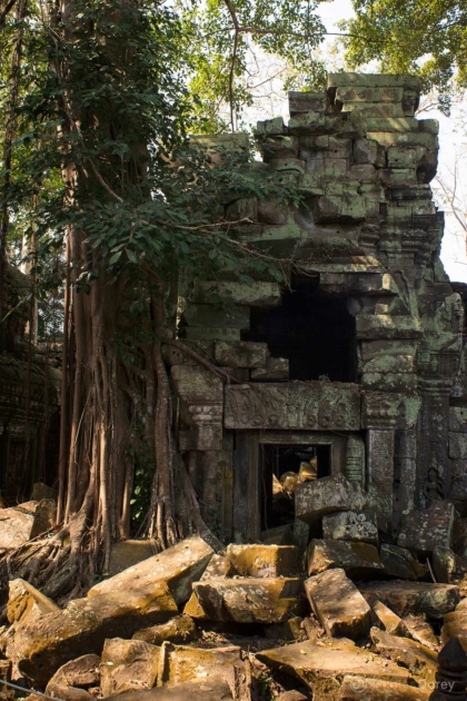 nicolas_dorey_cambodia_ta_prohm_03