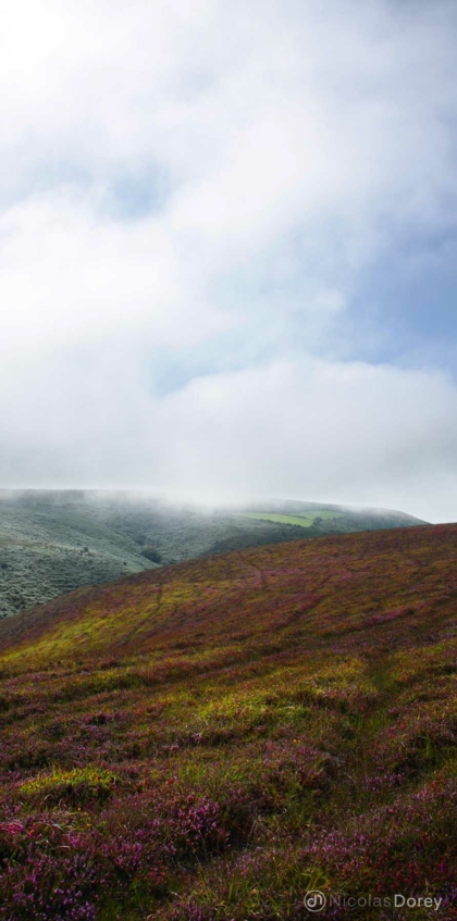 nicolas_dorey_fauteuil_abraham