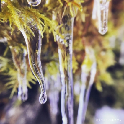 nicolas_dorey_itsy_bitsy_curvy_stalactites nicolas_dorey_itsy_bitsy_curvy_stalactites