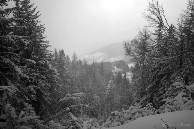 nicolas_dorey_lost_in_winter