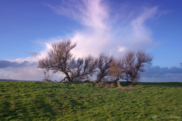 nicolas_dorey_querqueville_plage_01